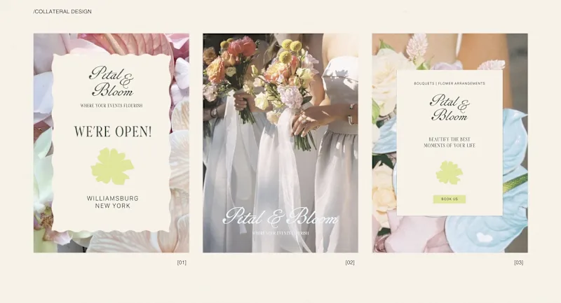 Cover image for Petal & Bloom /branding