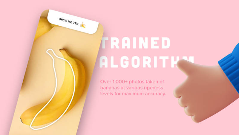 Cover image for Nanner Scanner