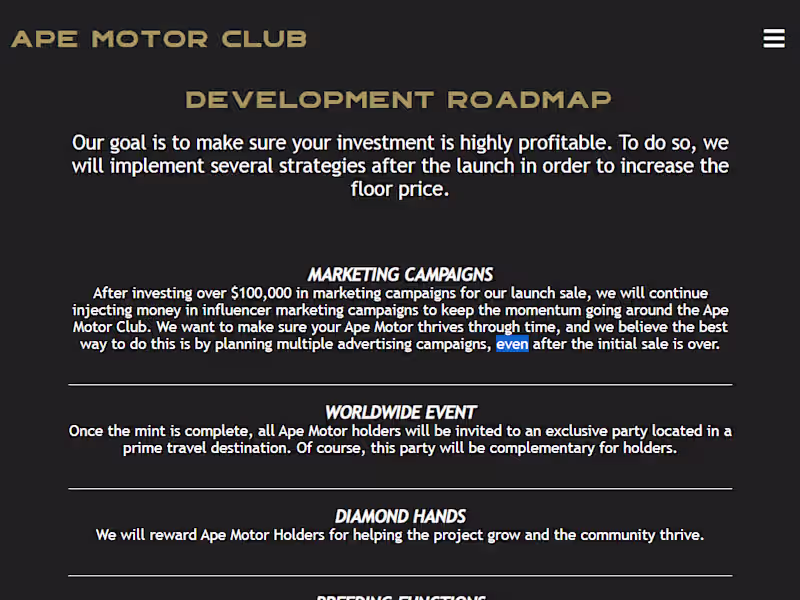 Cover image for APE MOTOR CLUB WEB DESIGN