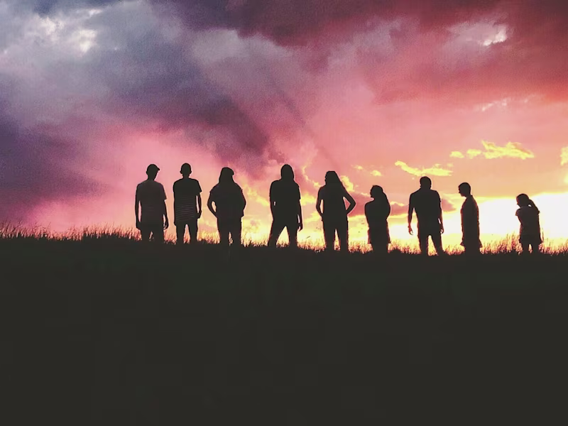 Cover image for The Genres and Subgenres of Writing