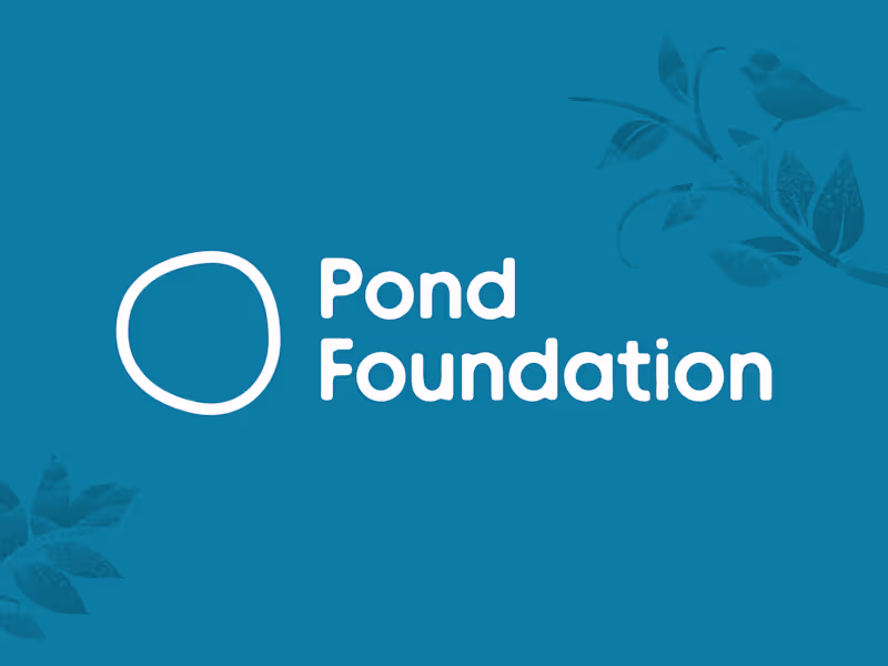 Cover image for Pond Foundation Brand Identity and Website Redesign