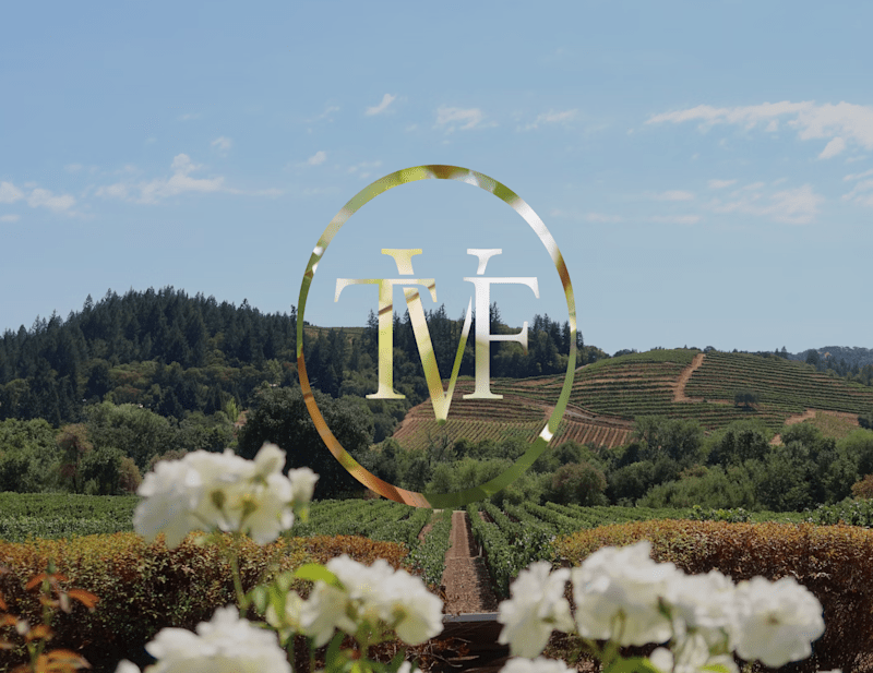 Cover image for Brand Identity and Website Design for The Valley Forum