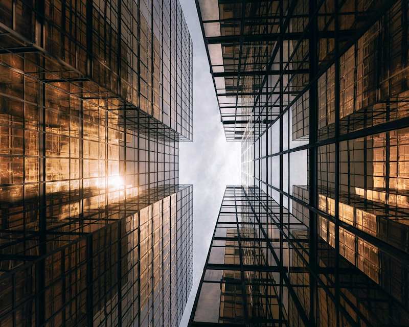 Cover image for When Builders Meet Believers: Rift Between Purists and Designers