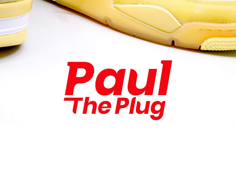 Cover image for Paul The Plug
