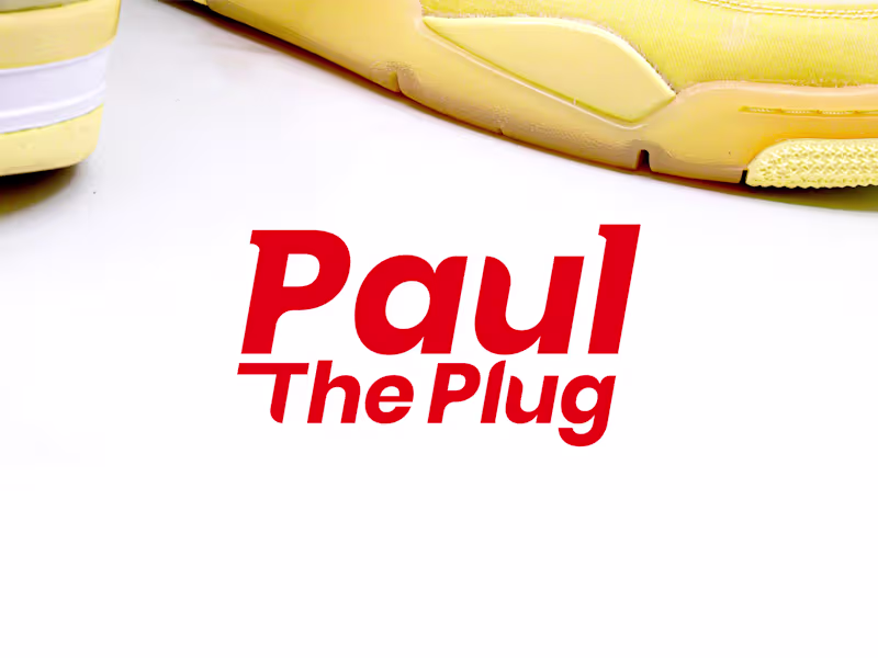 Cover image for Paul The Plug