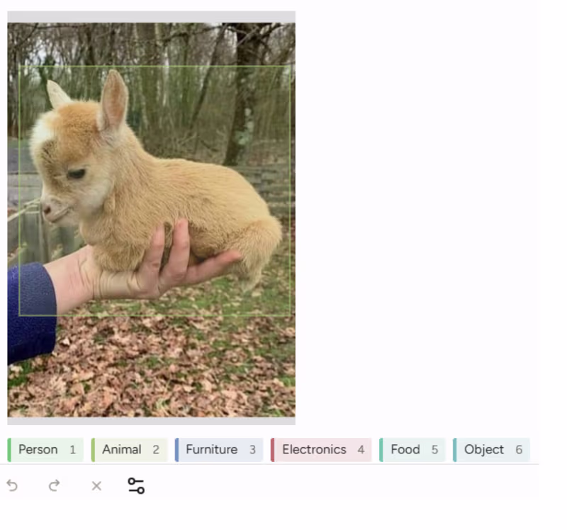 Cover image for Wildlife Data Labeling