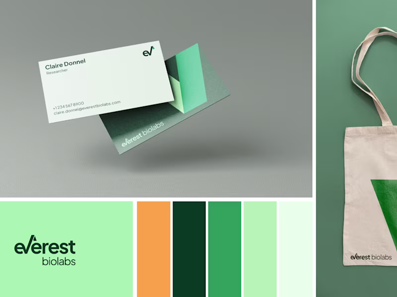 Cover image for Visual Identities Meant to Captivate, Convert, and Last