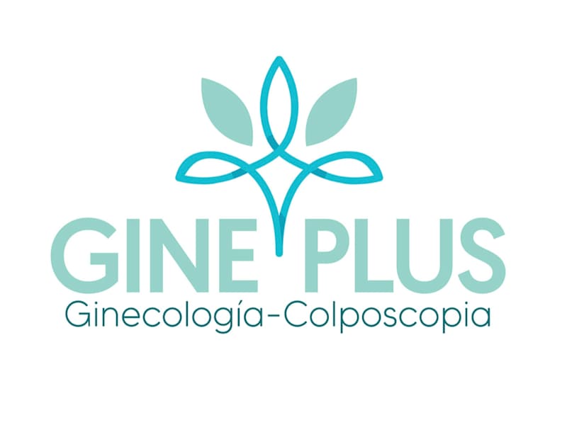 Cover image for Gineplus OB& Gyn