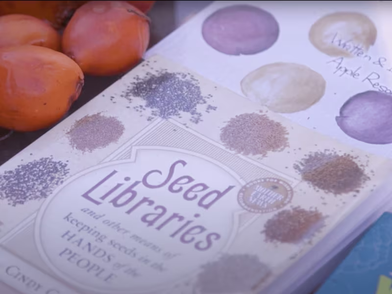 Cover image for Advanced Film Editing Services