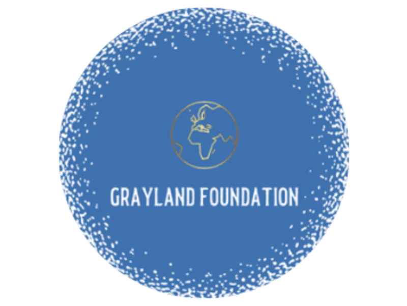 Cover image for A Gray of Sunshine