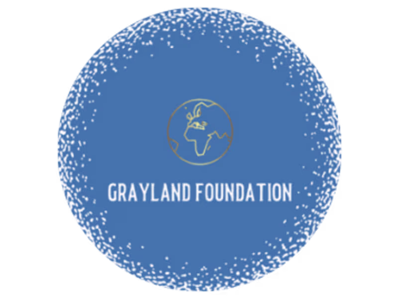 Cover image for A Gray of Sunshine