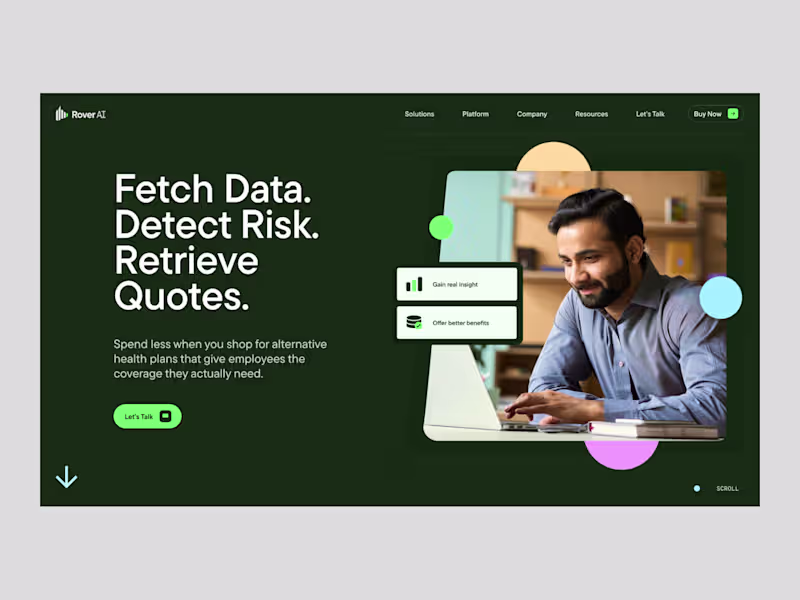 Cover image for Rover Analytics - Webflow Development