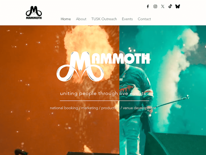 Cover image for Website Development - Mammoth