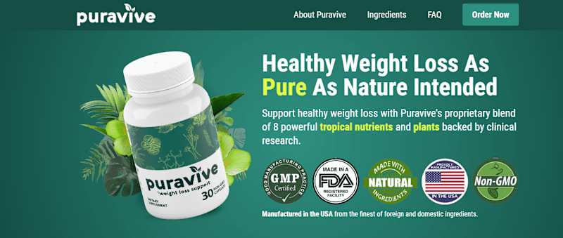 Cover image for Your Ultimate Companion in Weight Loss Journey