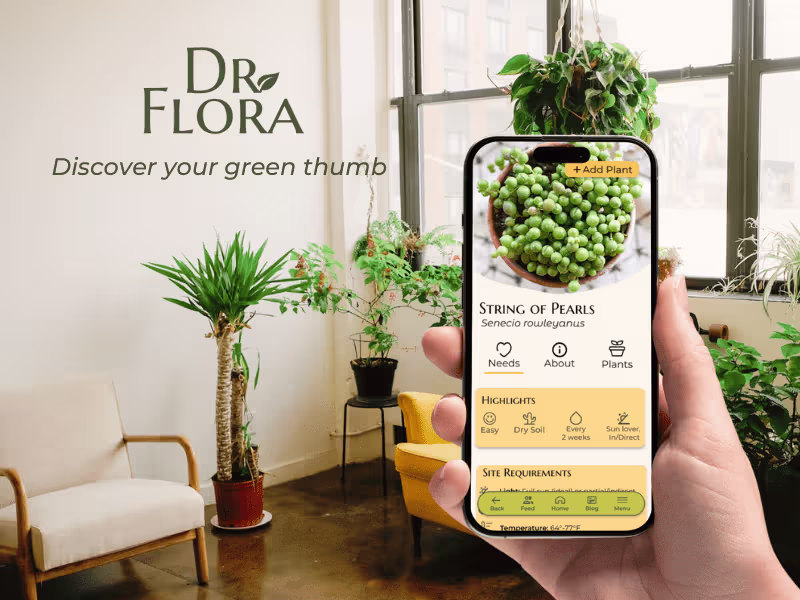 Cover image for Concept App Design for Plant Care