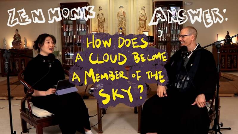 Cover image for The Sentient Beans Podcast