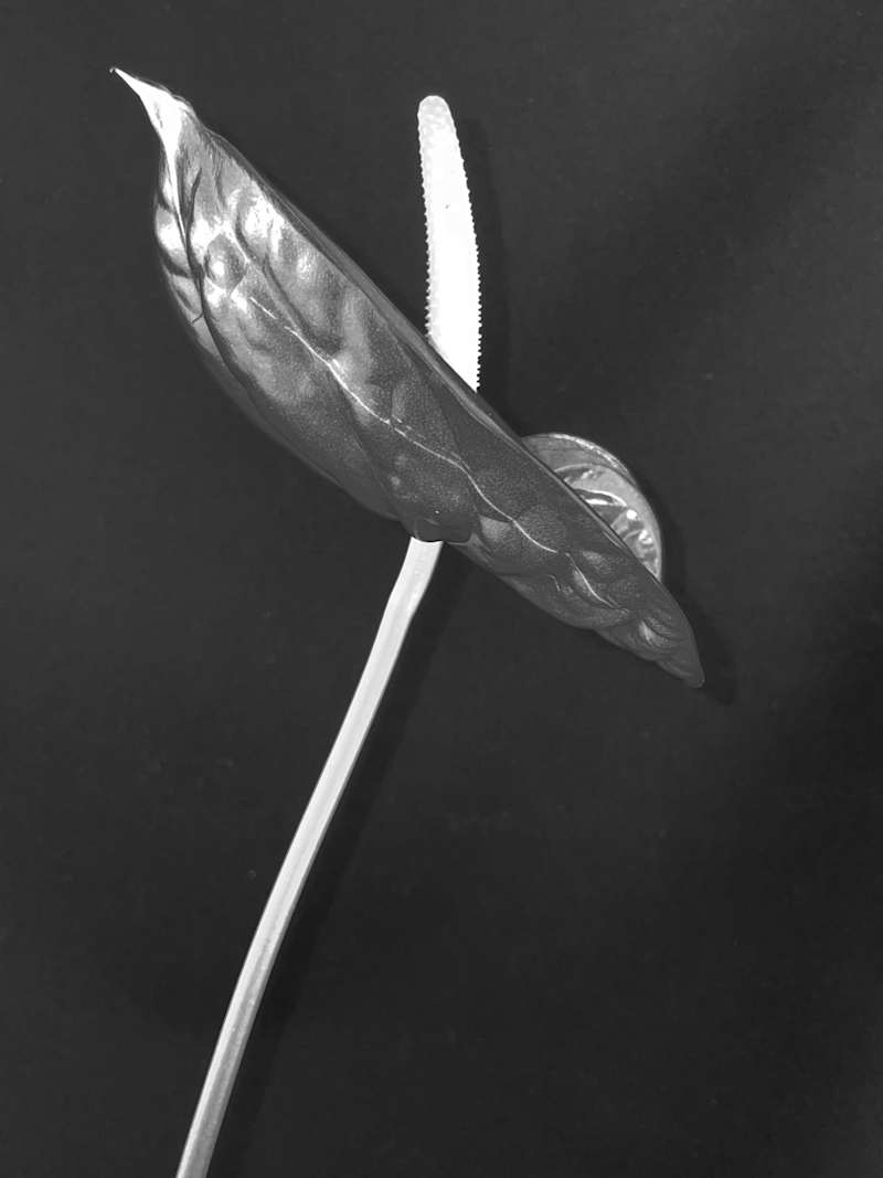 Cover image for week#1 - bye bye self-sabotage