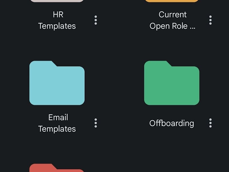 Cover image for Drive Organization 