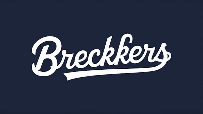 Cover image for I am a expert Wordmark logo design