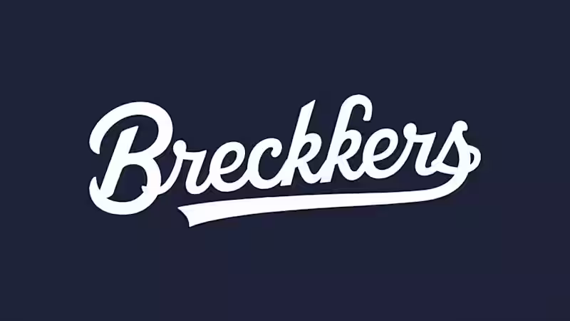 Cover image for I am a expert Wordmark logo design