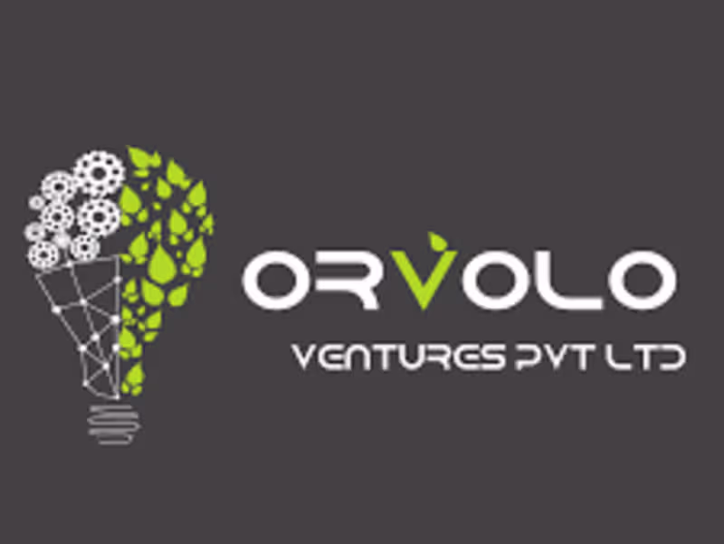 Cover image for Social Media Manager for Orvolo Ventures