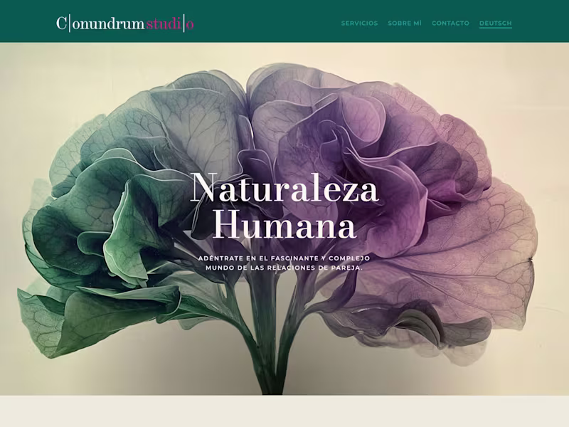 Cover image for Website for Conundrum Studio
