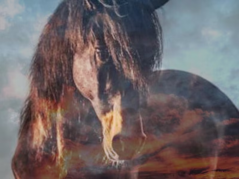 Cover image for I create any type of book cover eg Steamy. Mystery. Romance etc.