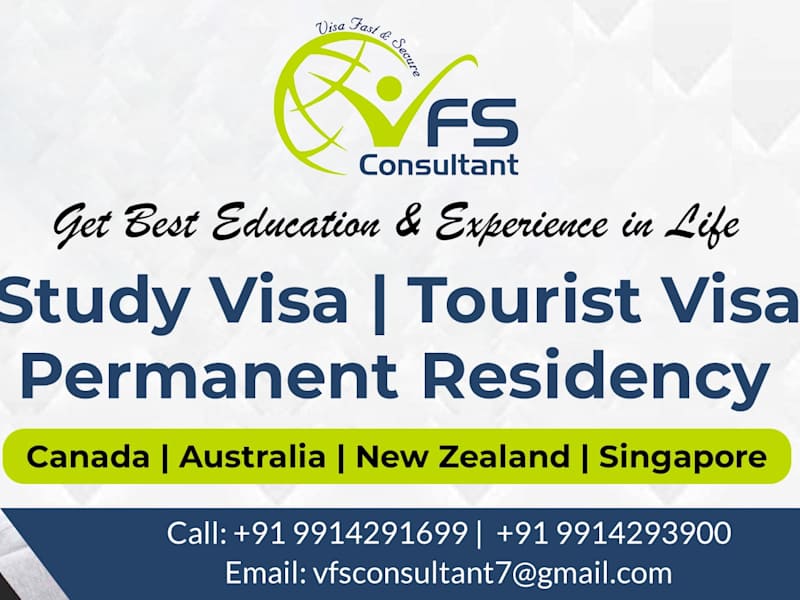 Cover image for VFS Consultant