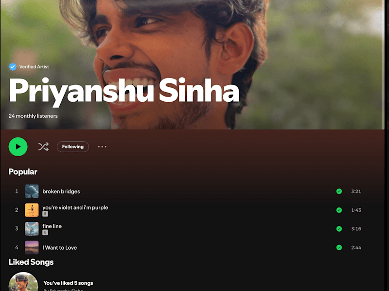 Cover image for My mainstream songs on Spotify
