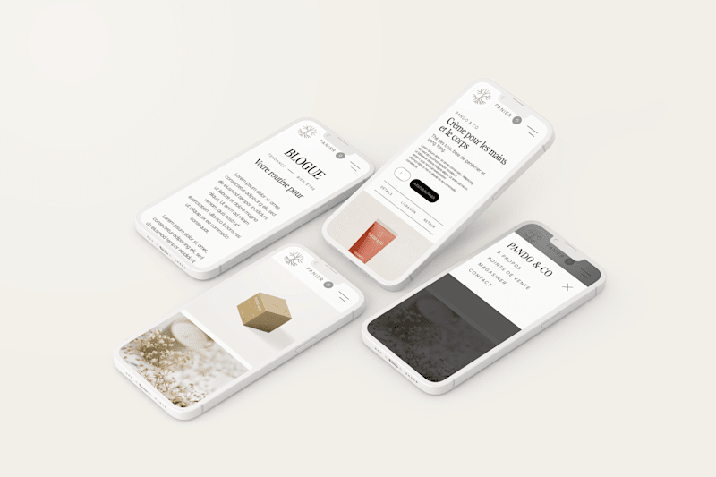 Cover image for Pando & Co - Brand Identity