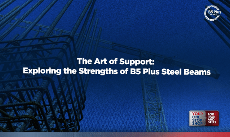 Cover image for The Art of Support: B5 Plus's Steel Beams