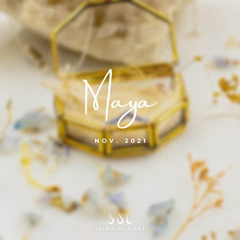 Cover image for MAYA for SOL
