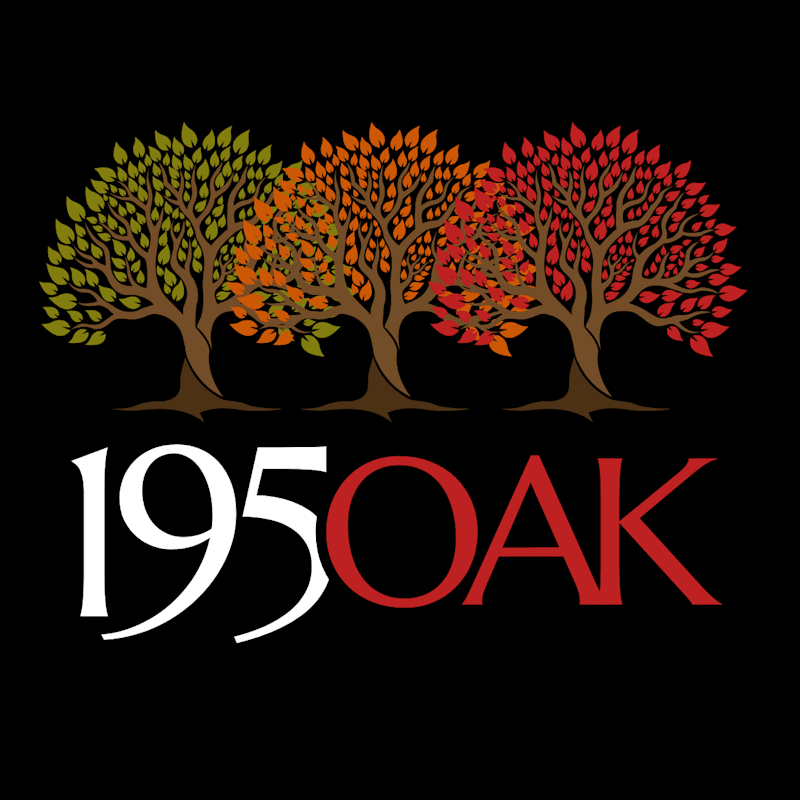 Cover image for 195 Oak | Brand Identity, Logo Design, Video Editing