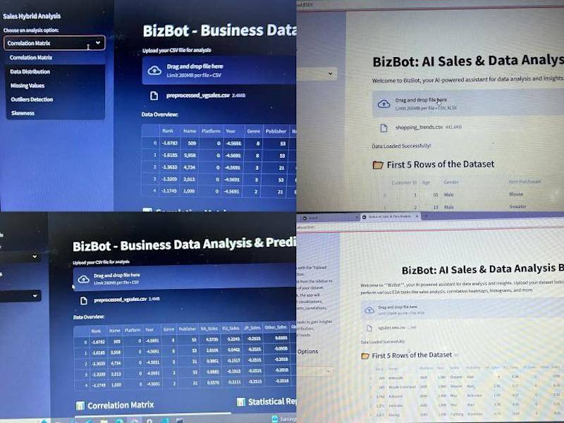 Cover image for BizBot: AI-Powered Business Data Chatbot Development
