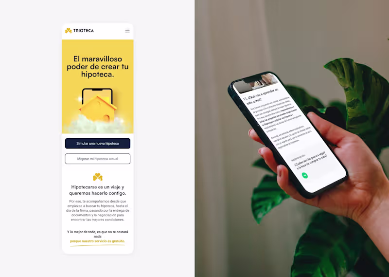 Cover image for Trioteca Brand Design & Website