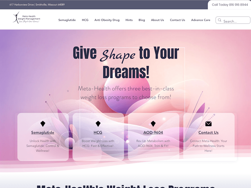 Cover image for Meta-Health Weight Loss Programs in Kansas City
