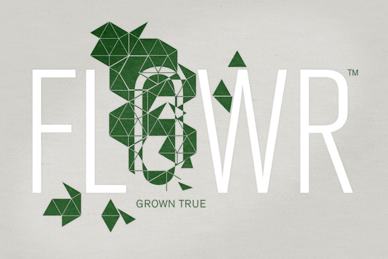 Cover image for Proposed logo / identity system for cannabis co.