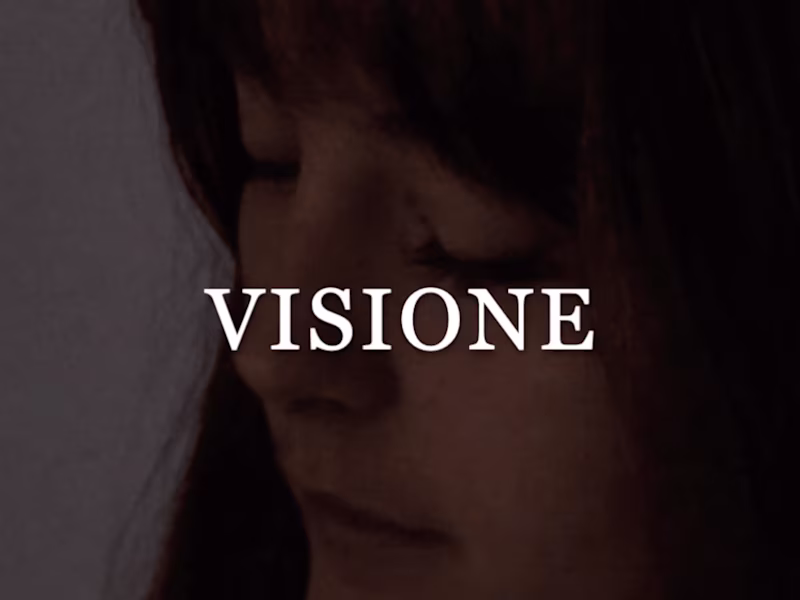 Cover image for Vision