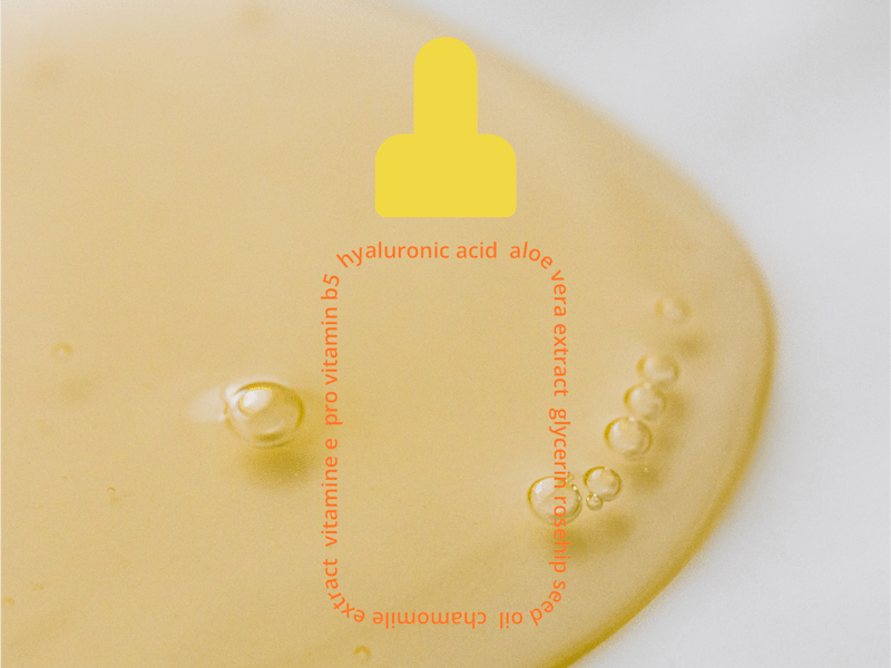 Cover image for Mini Brand and Design