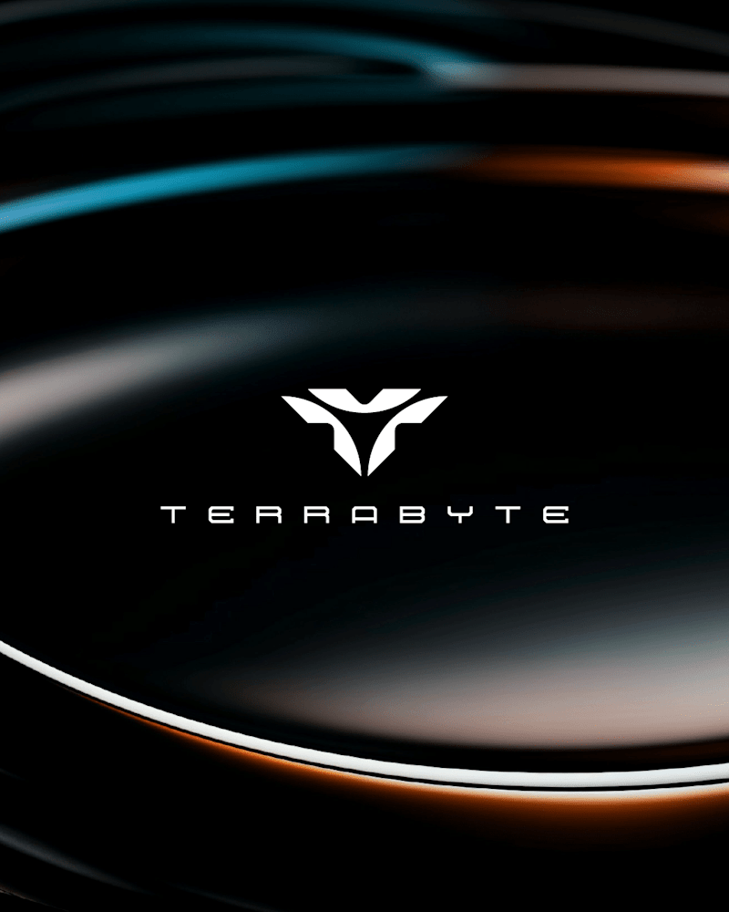 Cover image for TerraByte — Branding & Visual Identity Exploration