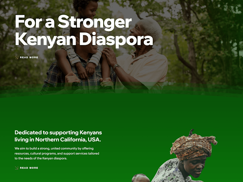 Cover image for Harambee Foundation: Empowering the Kenyan Diaspora