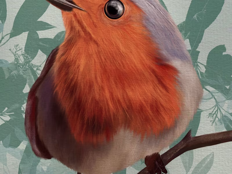 Cover image for Nature, birds, animals