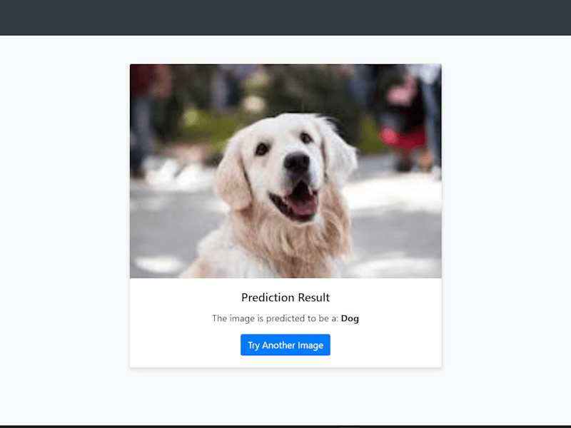 Cover image for Cat vs Dog Image Classification