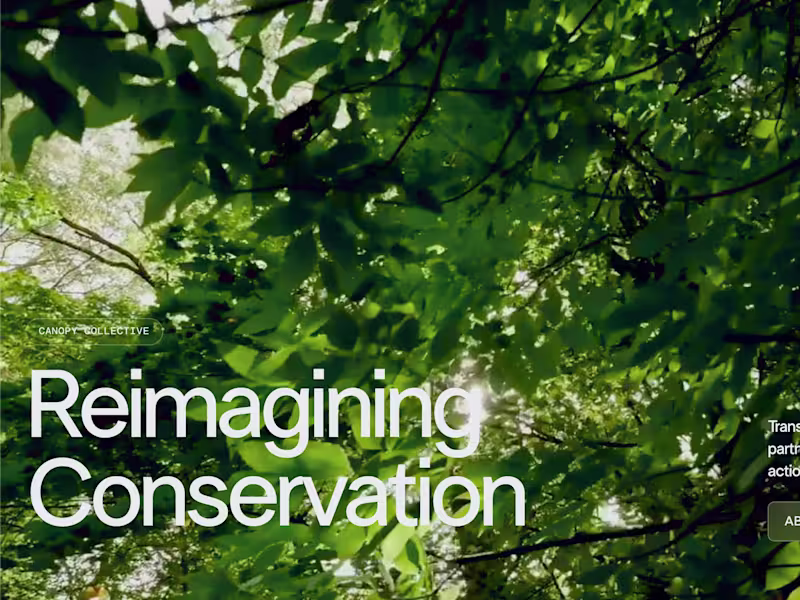 Cover image for Canopy Collective