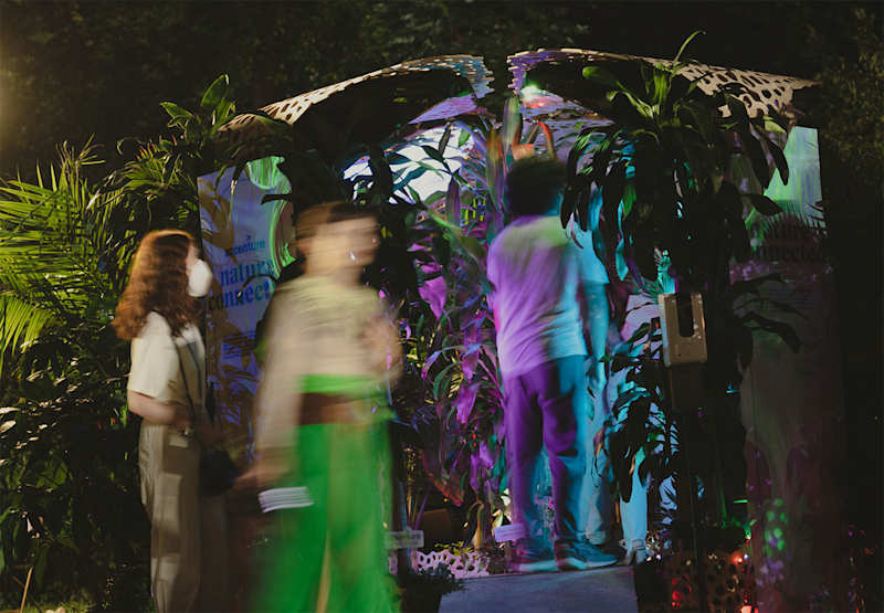 Cover image for Nature Connected: An Immersive Experience