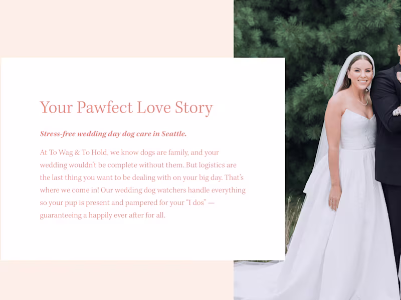 Cover image for To Wag & To Hold Website SEO Copy