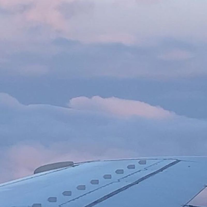 Cover image for 𝑺𝑶𝑭𝑰𝑨 on Instagram: “I wanna fly, can you take me far away…