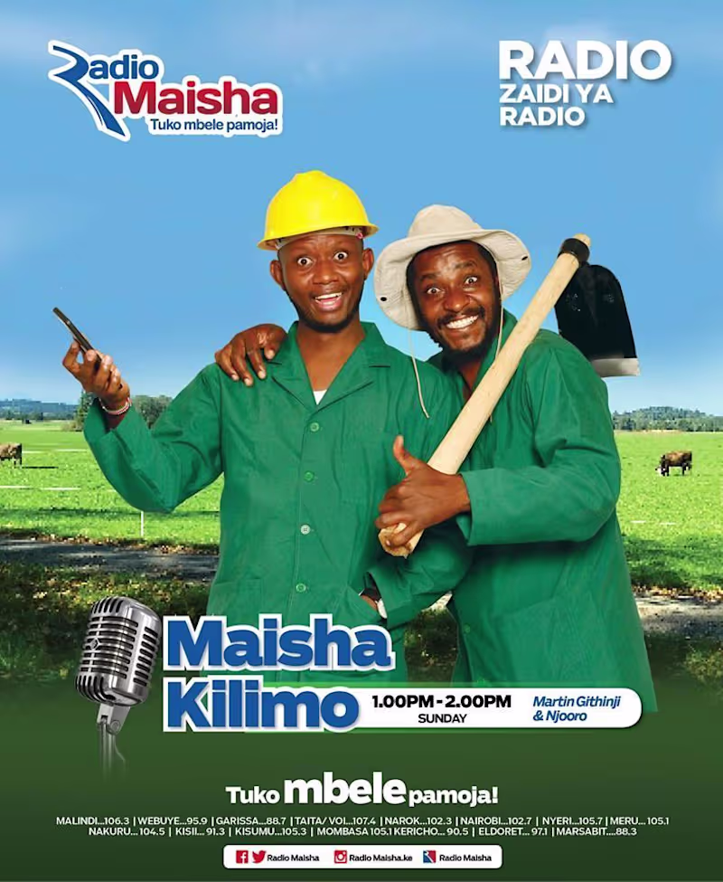 Cover image for Producer I Maisha Kilimo