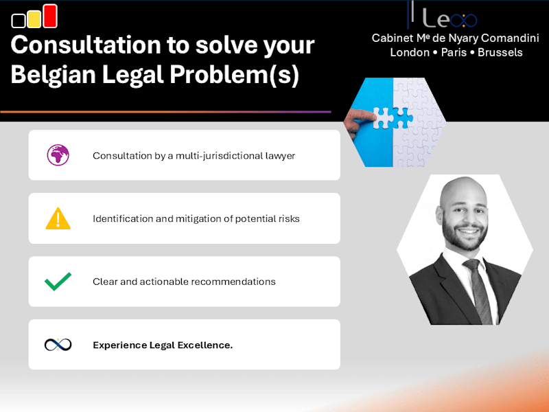 Cover image for Consultation with a Belgian Lawyer