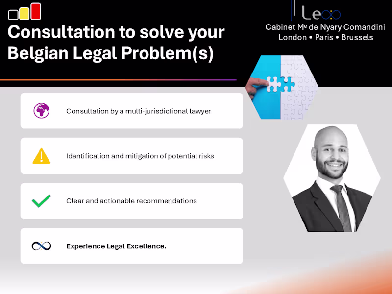 Cover image for Consultation with a Belgian Lawyer